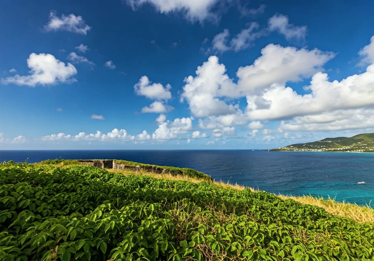 Saint Kitts y Nevis